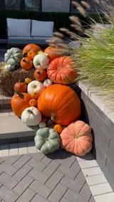 The Grand Harvest video preview