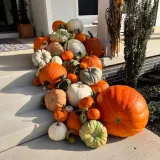 The Grand Harvest display thumbnail 2