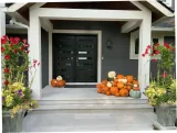 The Sprout display thumbnail 3