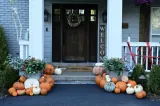 The Sprout display thumbnail 1