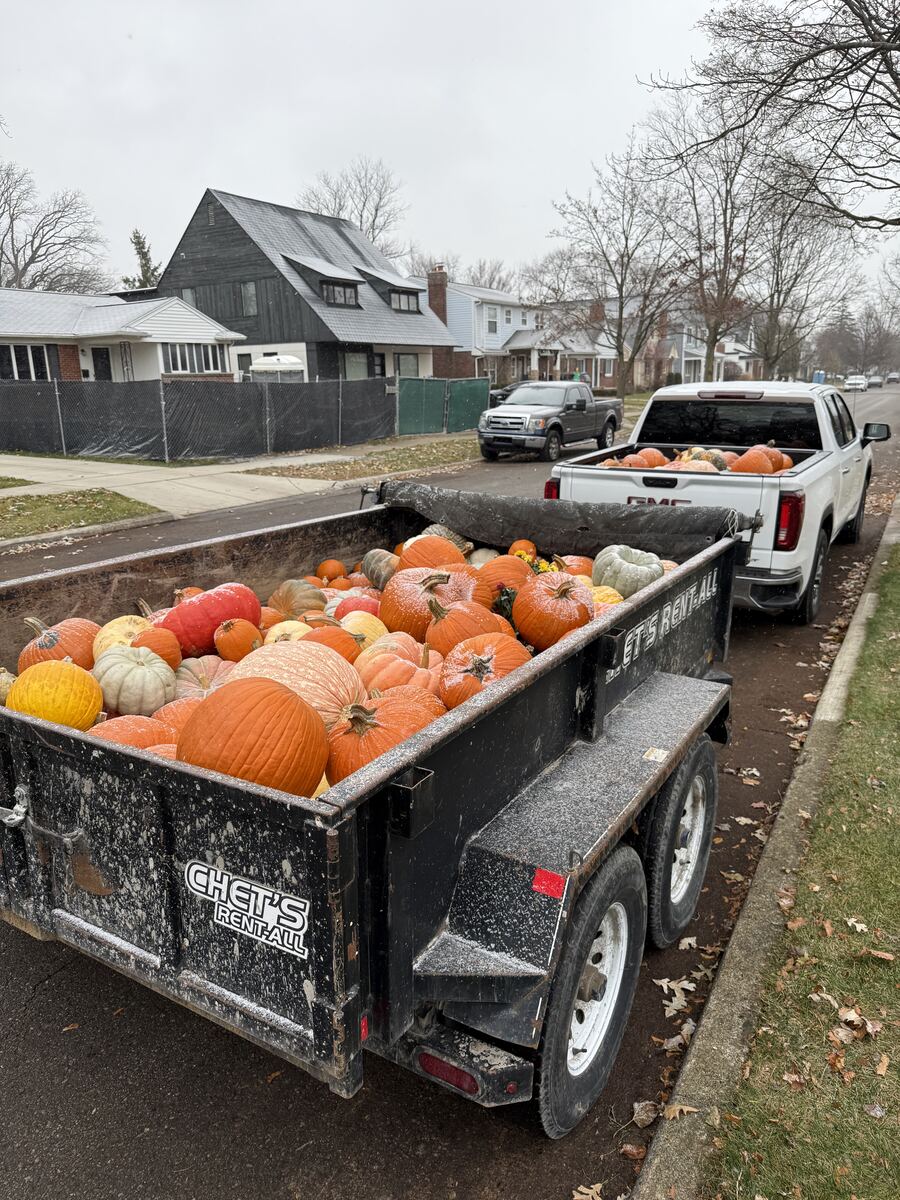 Trailers loaded with pumpkins collected from Metro Detroit porches