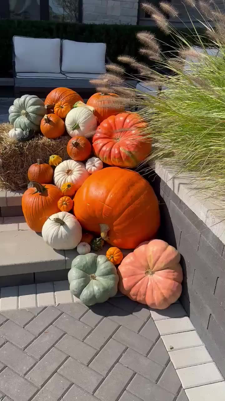 The Grand Harvest video